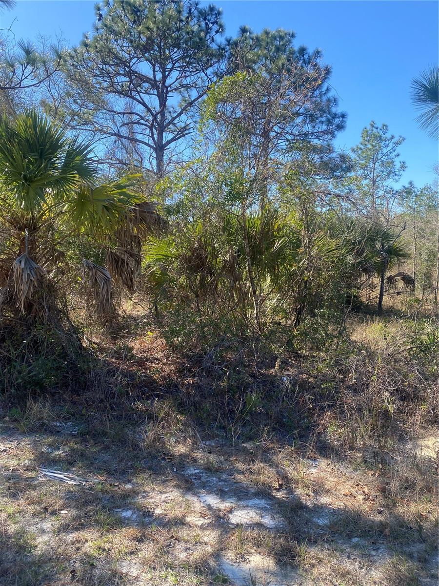 14307 EARLINE RD, WEEKI WACHEE, FL, 34614