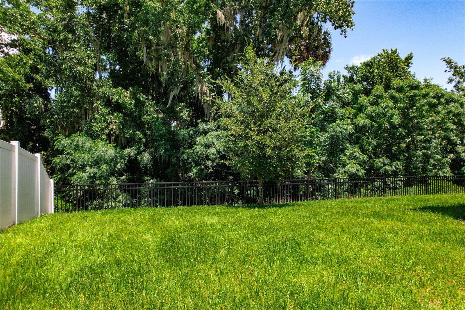 8084 CHERRYSTONE ST, LEESBURG, FL, 34748