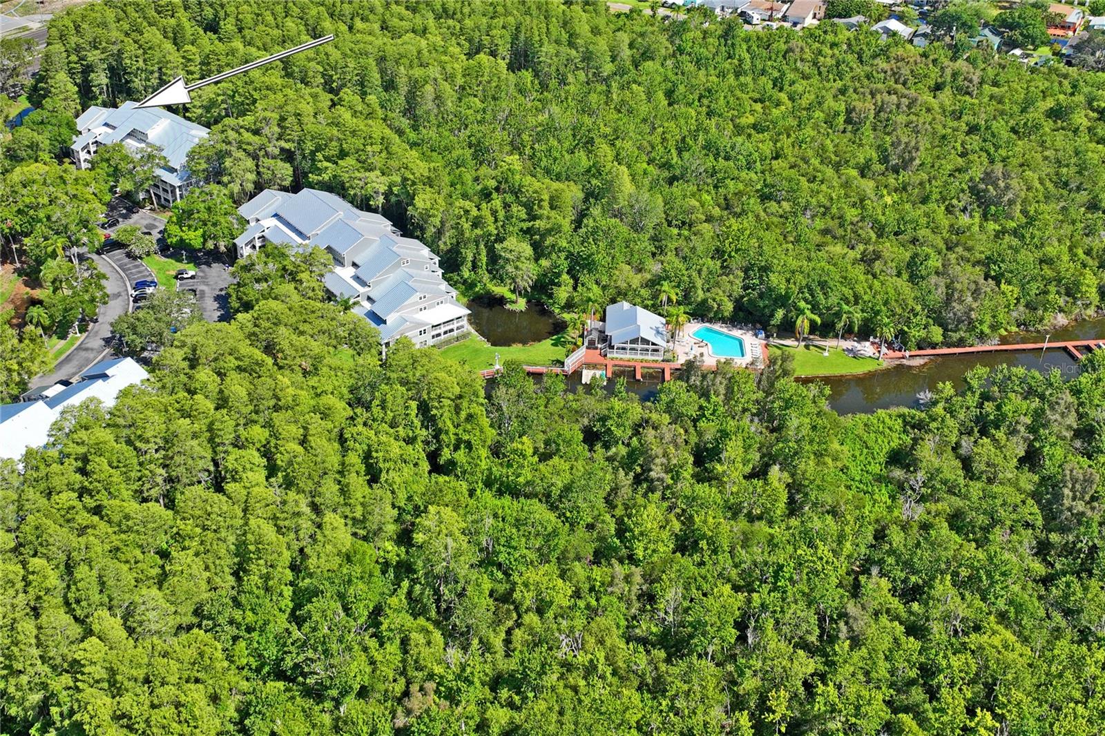 2511 DOLLY BAY DR #308, PALM HARBOR, FL, 34684