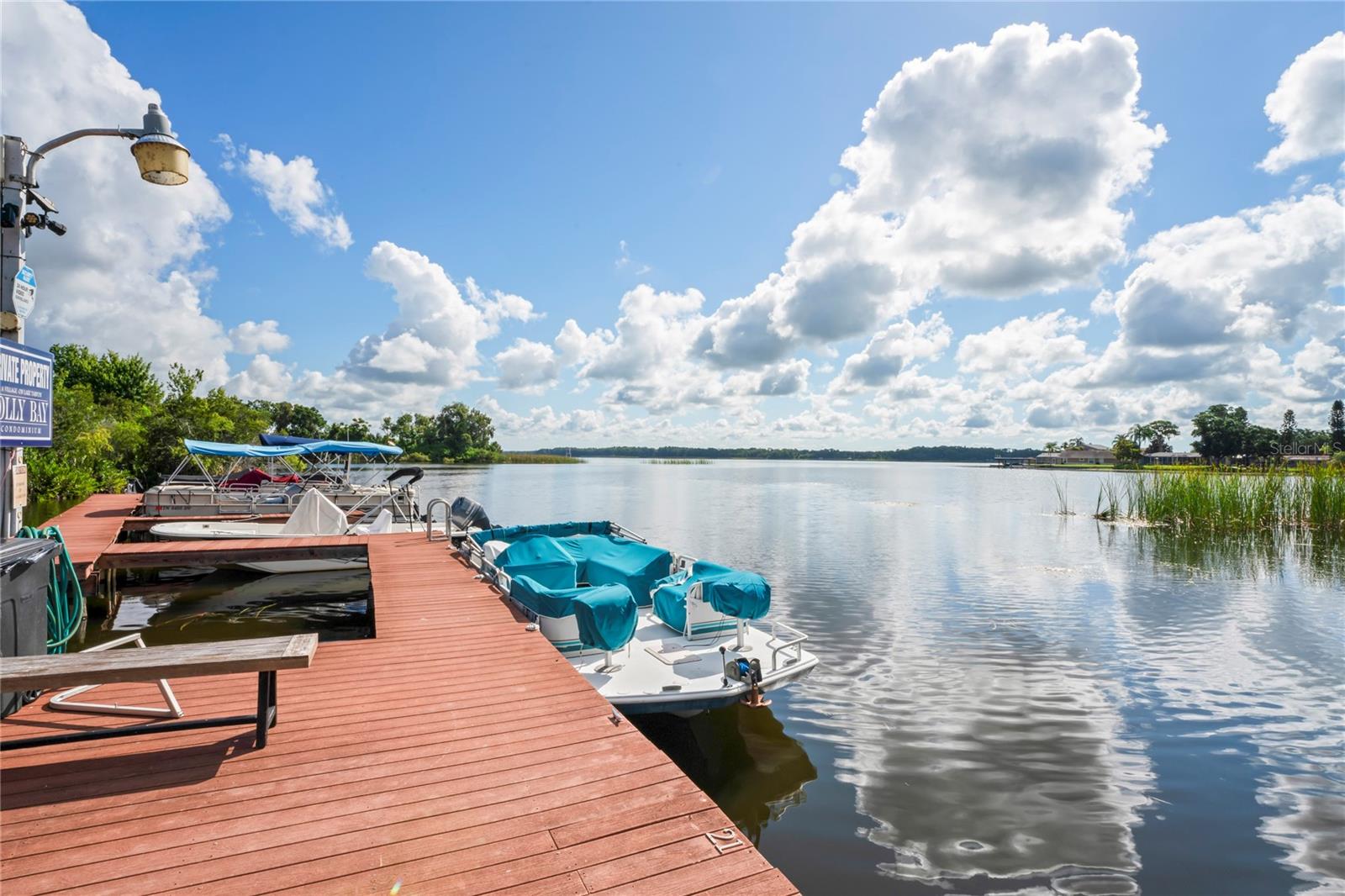 2511 DOLLY BAY DR #308, PALM HARBOR, FL, 34684