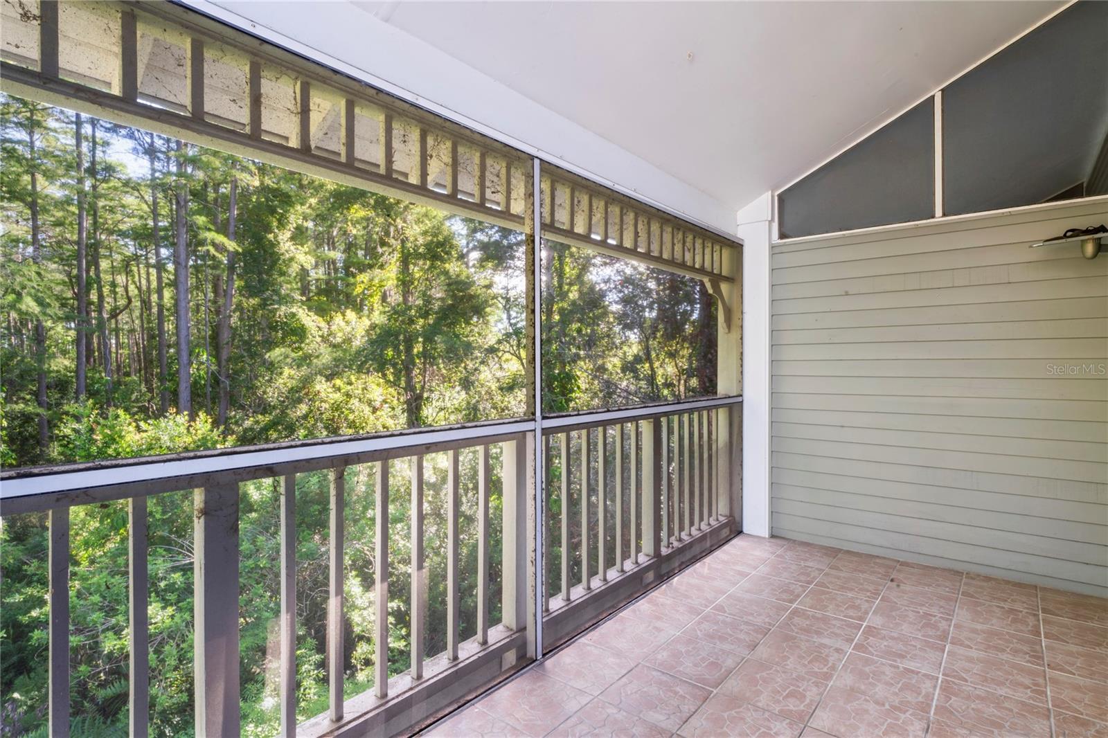 2511 DOLLY BAY DR #308, PALM HARBOR, FL, 34684