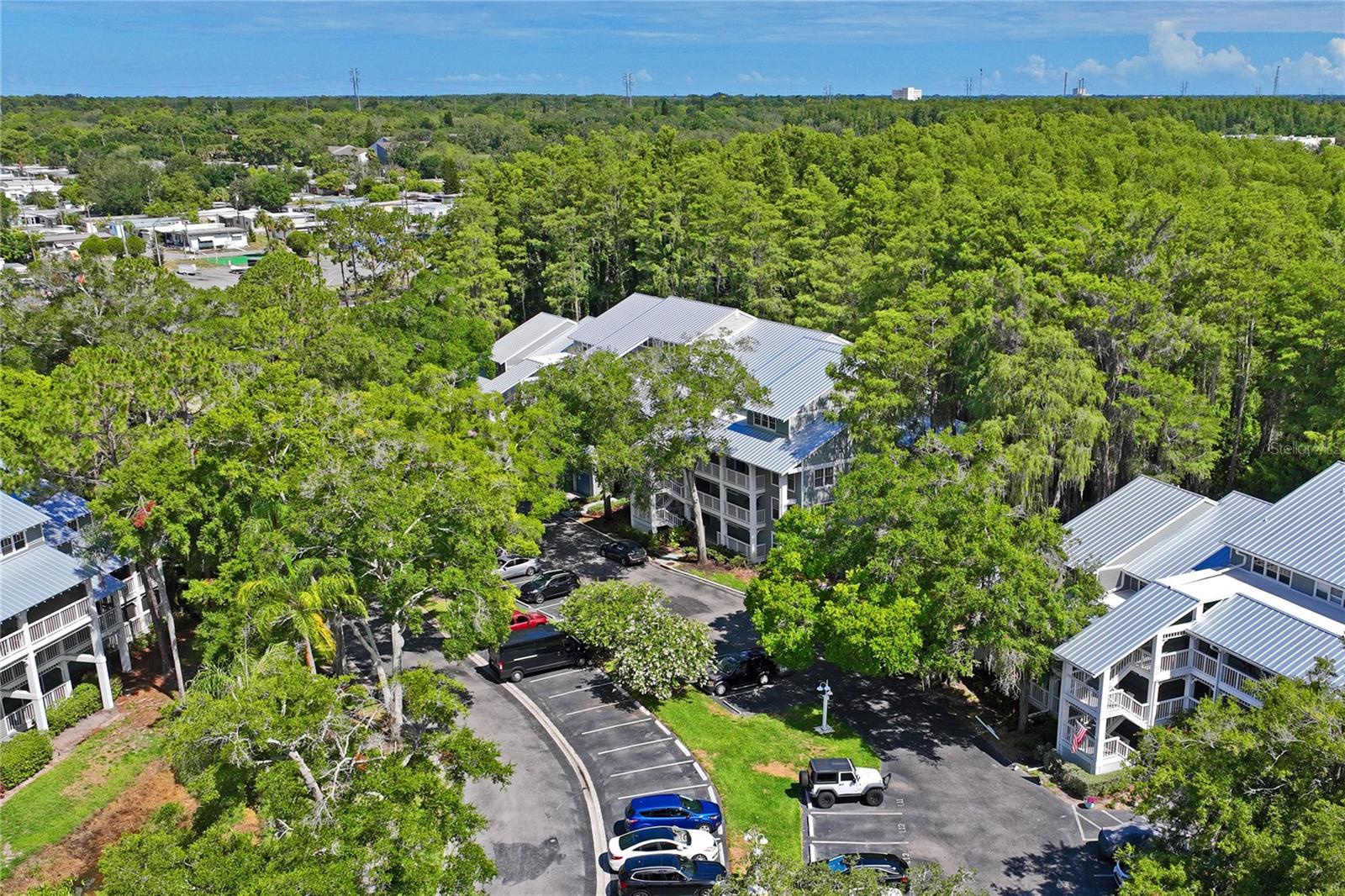 2511 DOLLY BAY DR #308, PALM HARBOR, FL, 34684