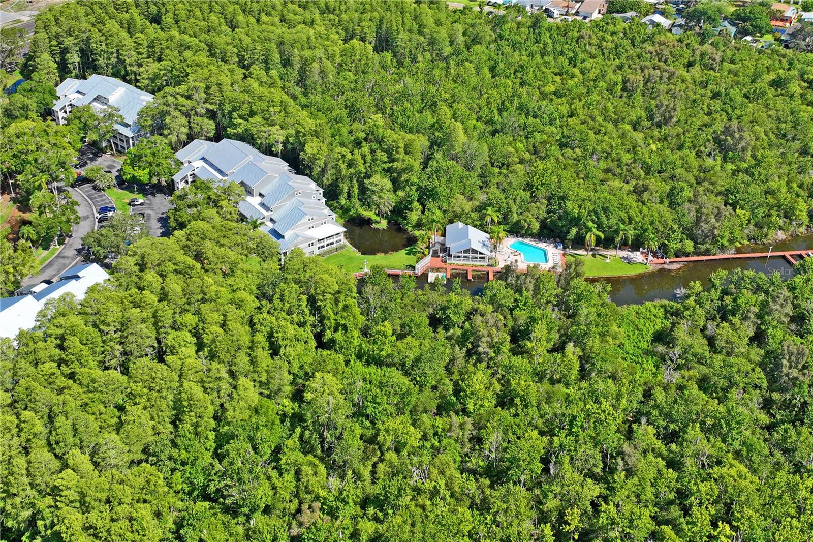 2511 DOLLY BAY DR #308, PALM HARBOR, FL, 34684