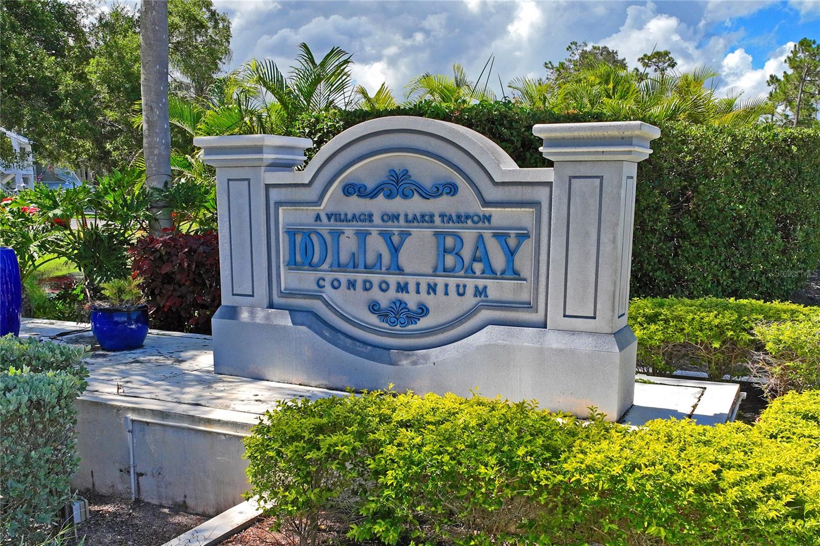 2511 DOLLY BAY DR #308, PALM HARBOR, FL, 34684