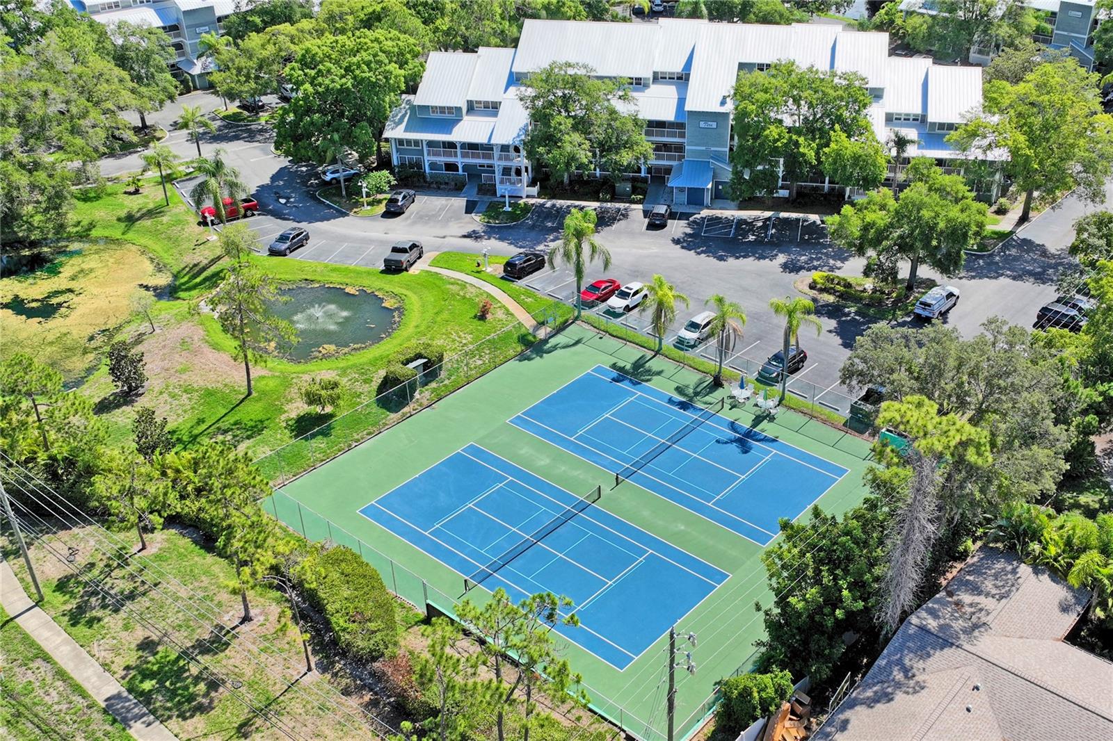 2511 DOLLY BAY DR #308, PALM HARBOR, FL, 34684
