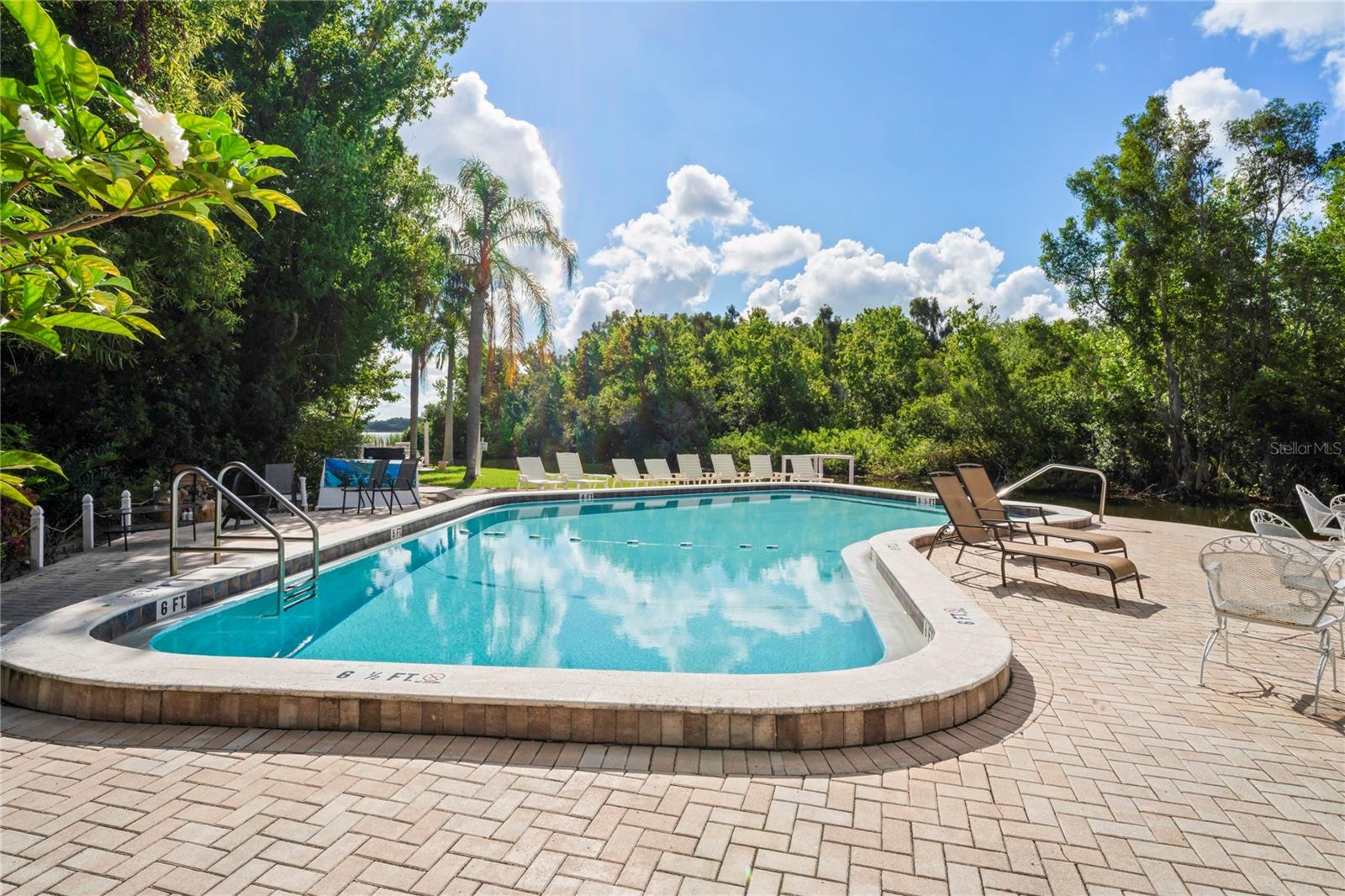 2511 DOLLY BAY DR #308, PALM HARBOR, FL, 34684