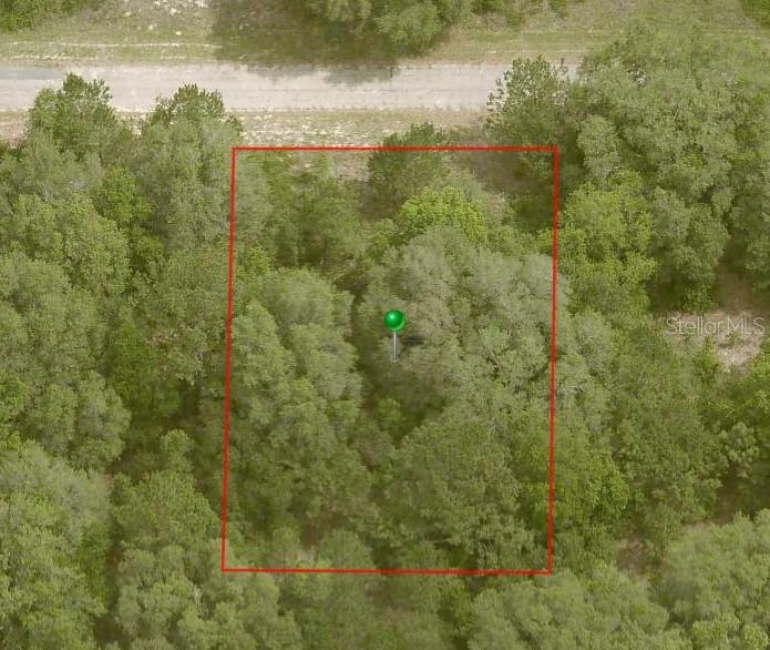 876 E NOAH LN, CITRUS SPRINGS, FL, 34434