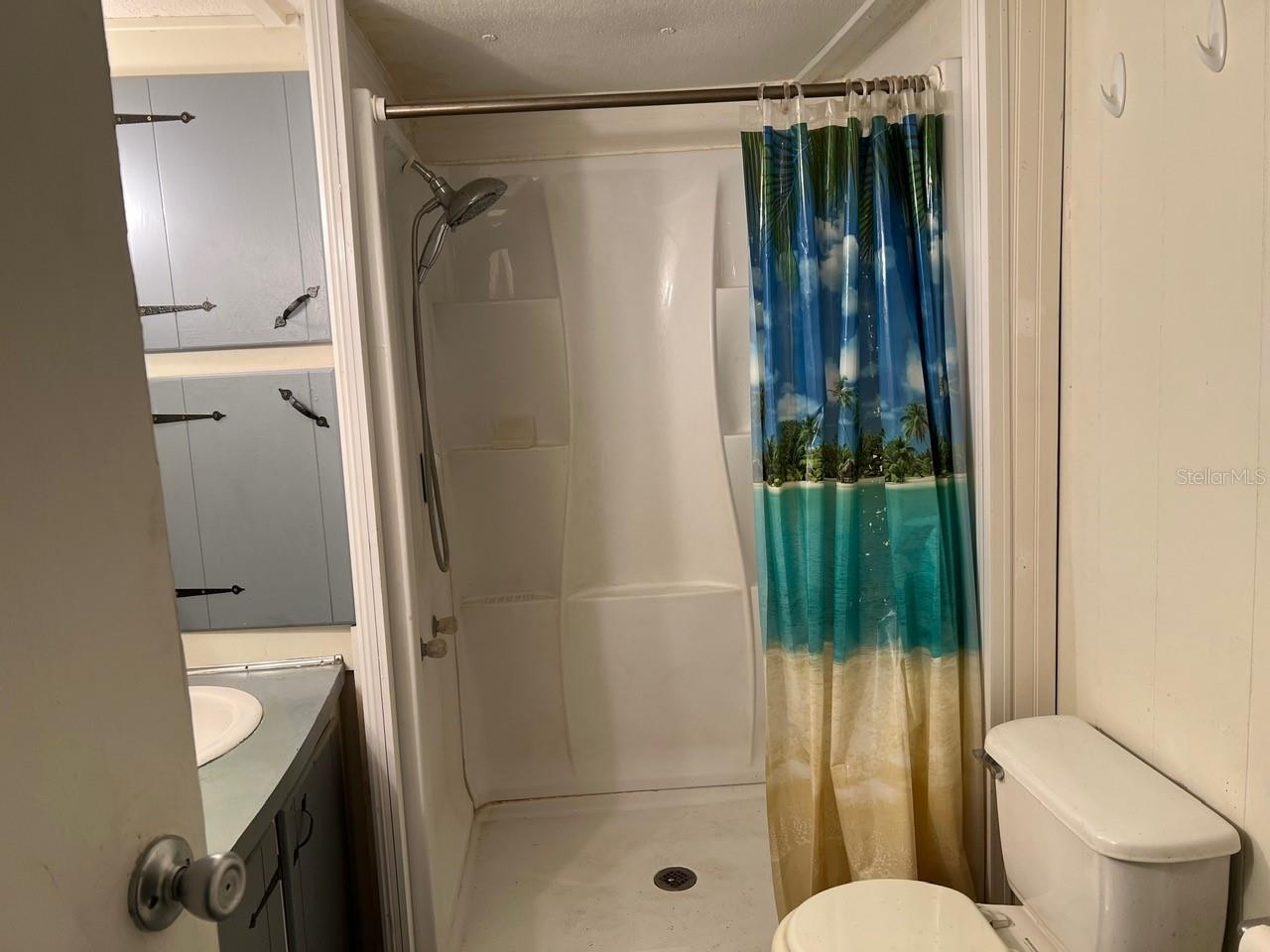 860 CR 482B, LAKE PANASOFFKEE, FL, 33538