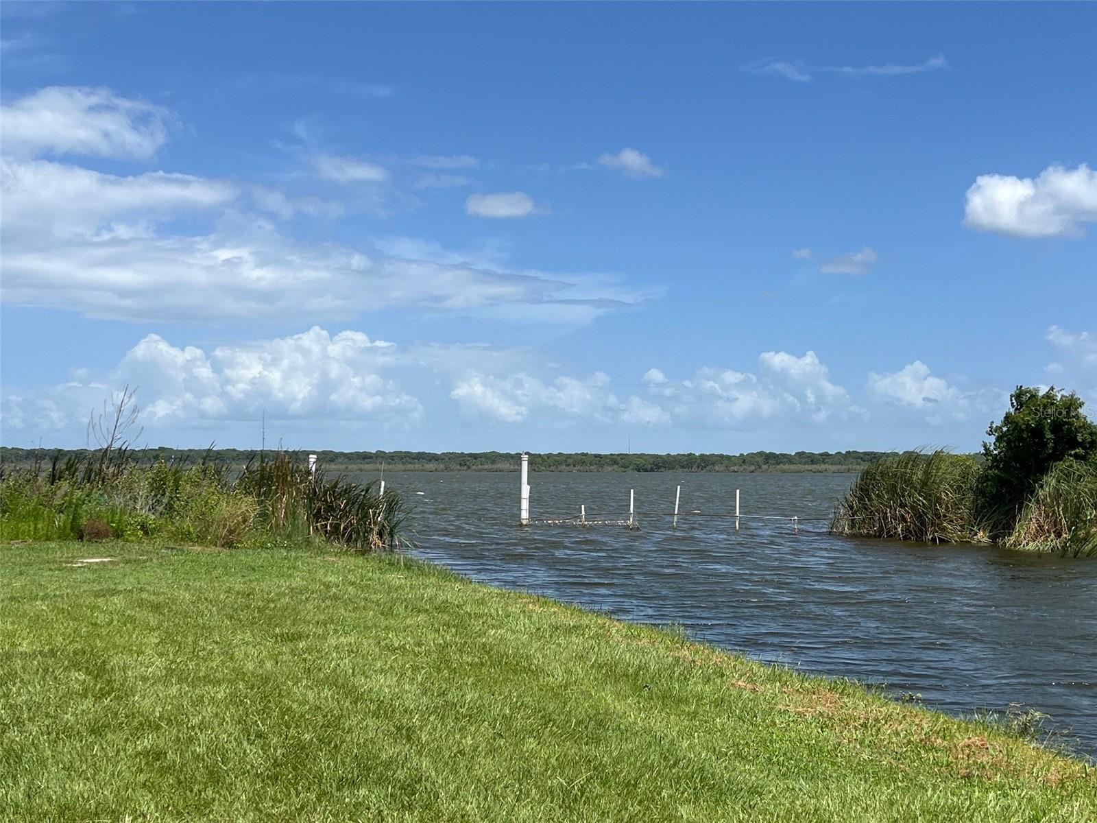 860 CR 482B, LAKE PANASOFFKEE, FL, 33538