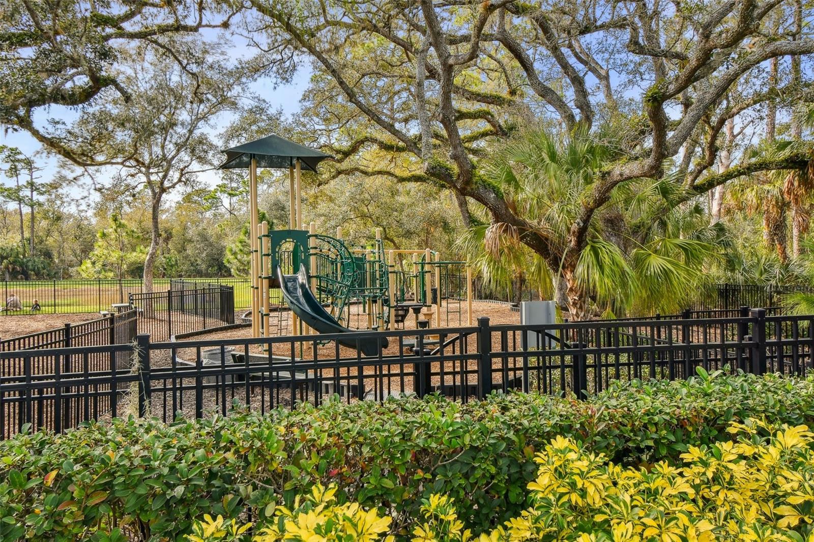6516 SERENITY FALL LN, SARASOTA, FL, 34240