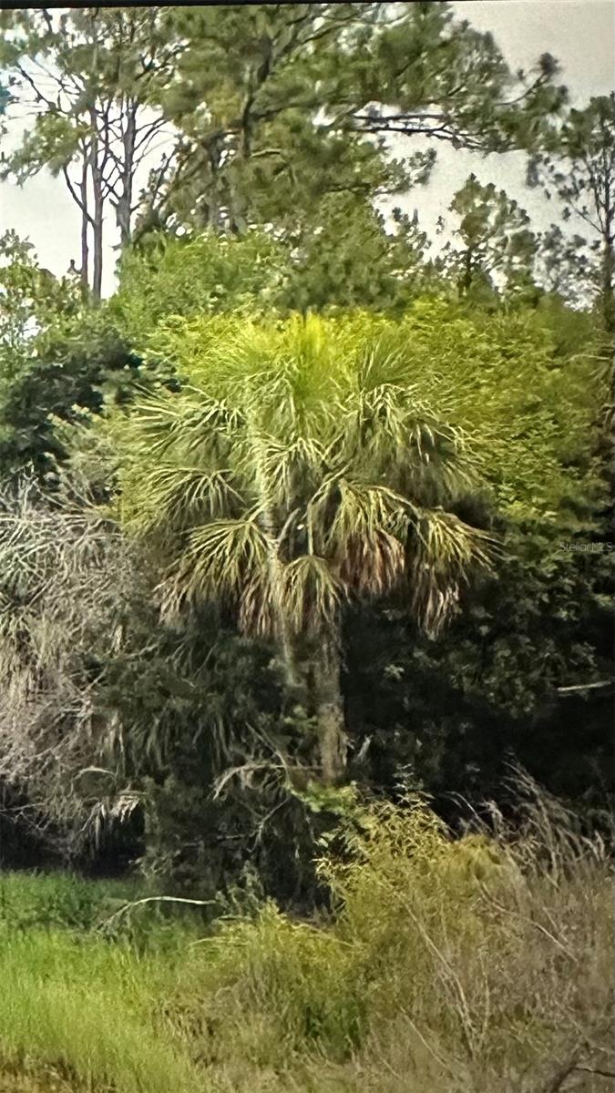 115 BALDUR DR, PORT CHARLOTTE, FL, 33954