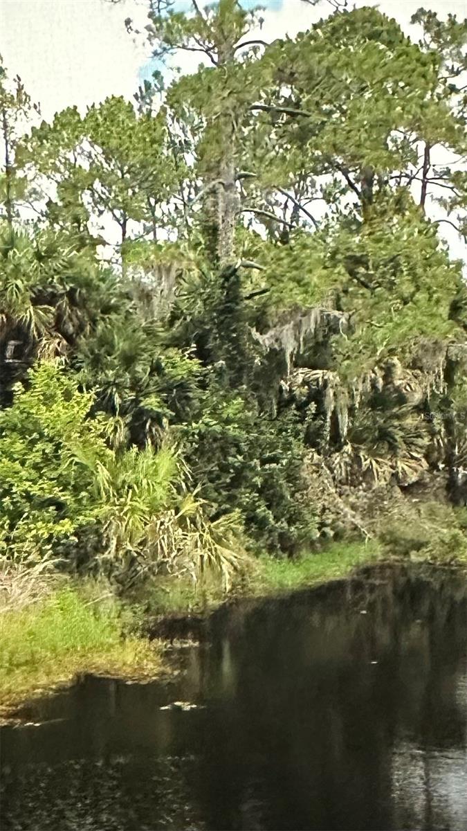 115 BALDUR DR, PORT CHARLOTTE, FL, 33954