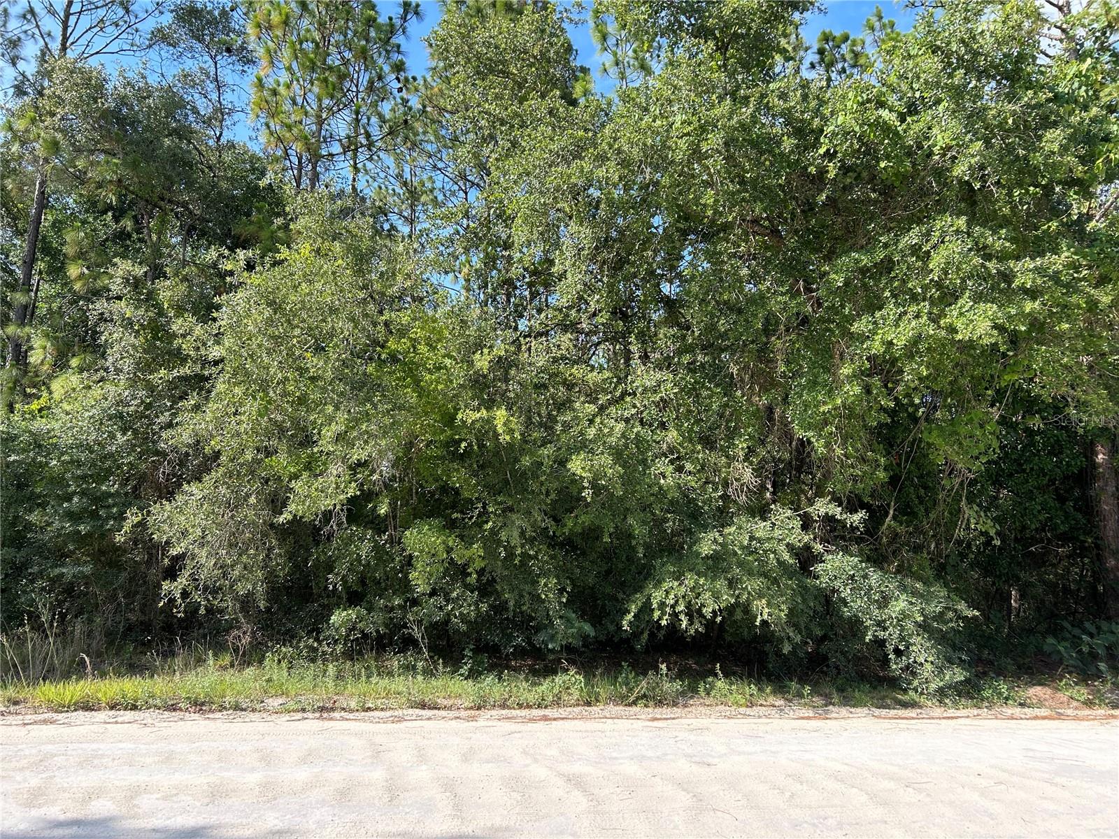 TBD SE 140TH AVE, MORRISTON, FL, 32668
