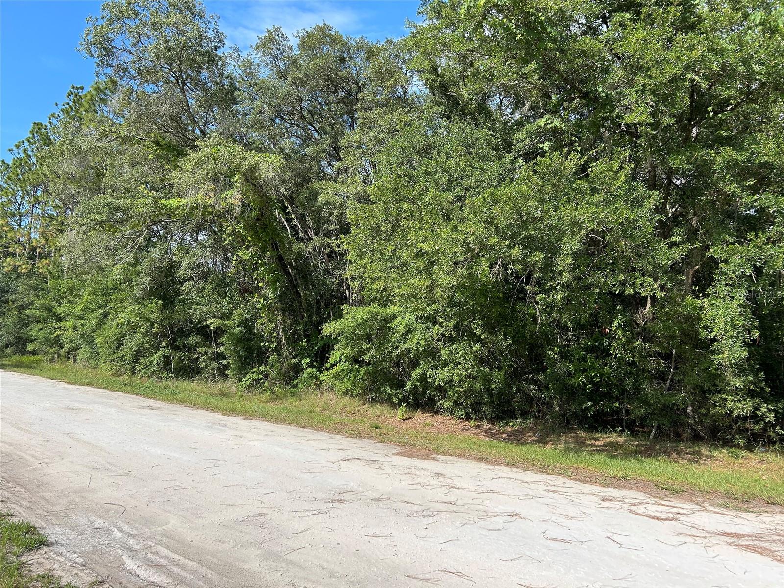 TBD SE 140TH AVE, MORRISTON, FL, 32668