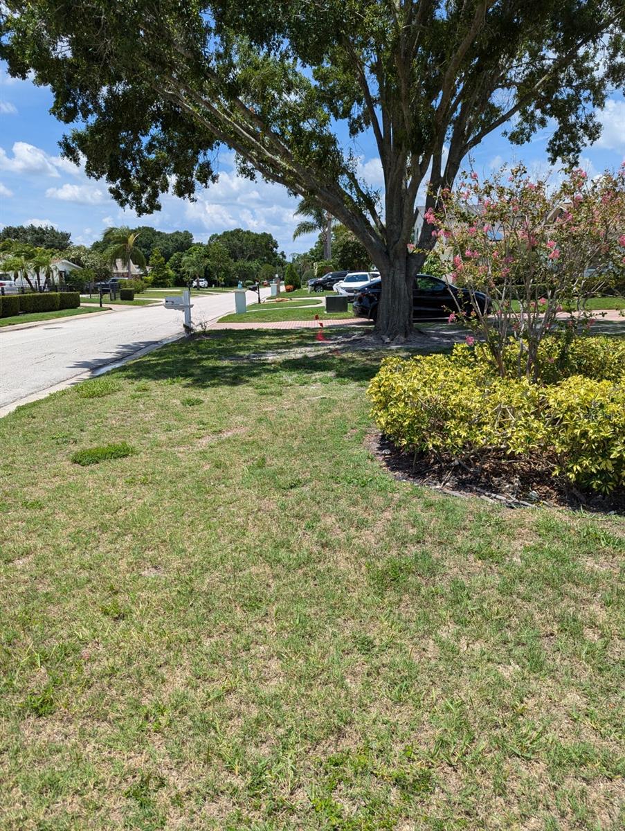 3931 E EDEN ROC CIR, TAMPA, FL, 33634