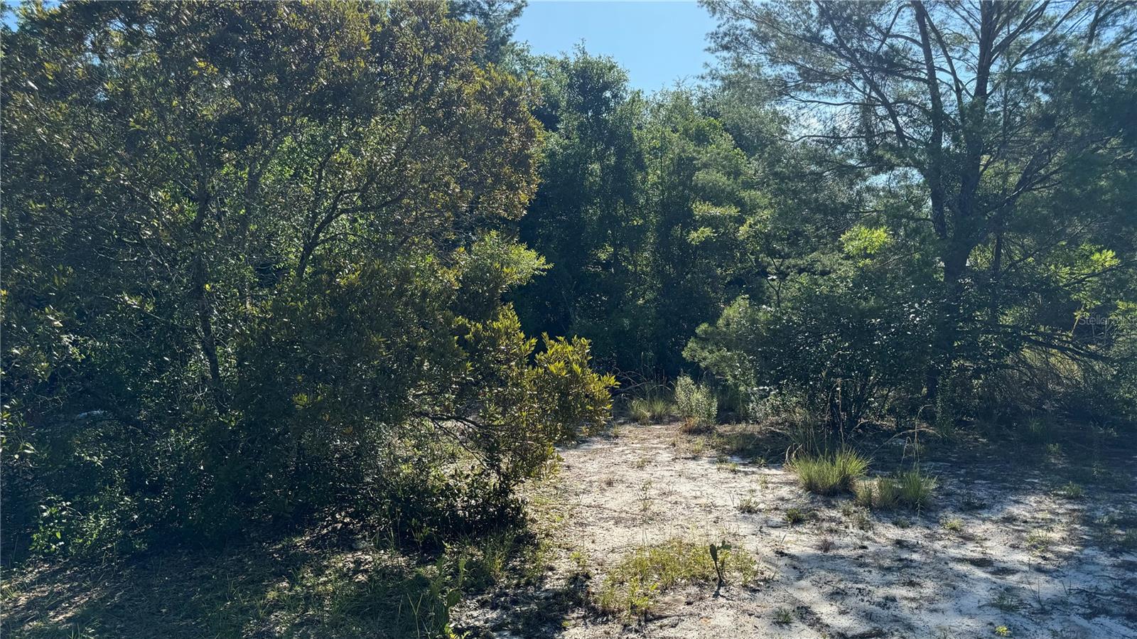 8045 NE 307TH AVE, FORT MC COY, FL, 32134