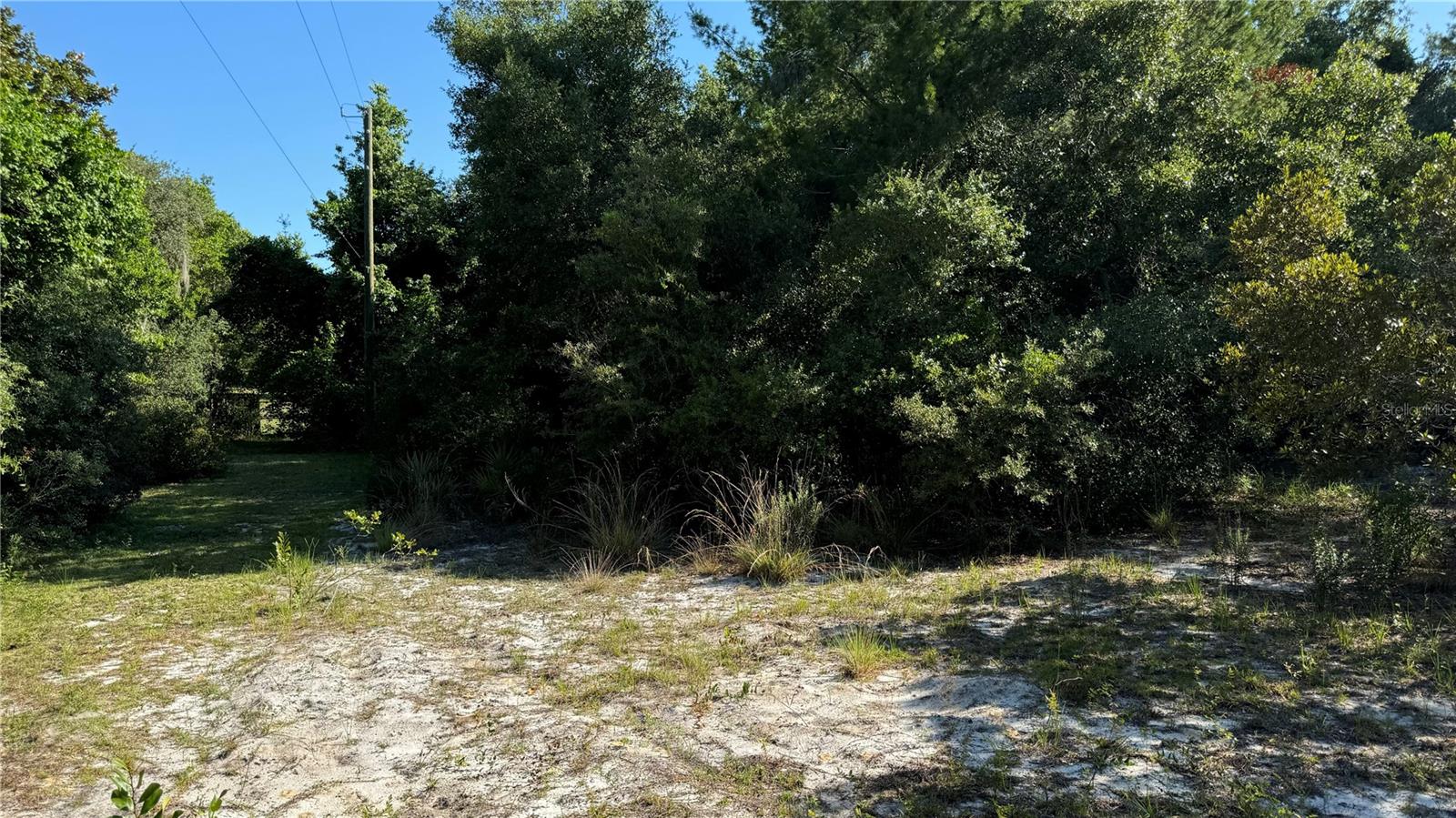8045 NE 307TH AVE, FORT MC COY, FL, 32134