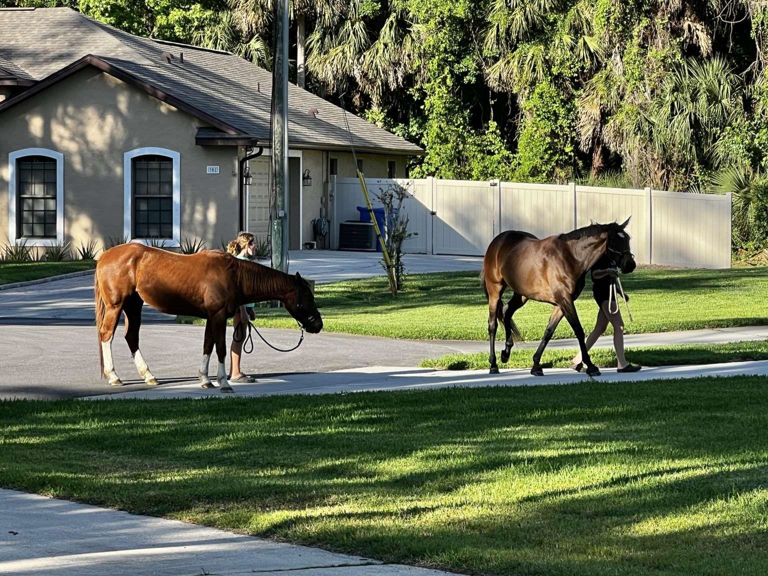 324 OLD MILL RD, ENTERPRISE, FL, 32725