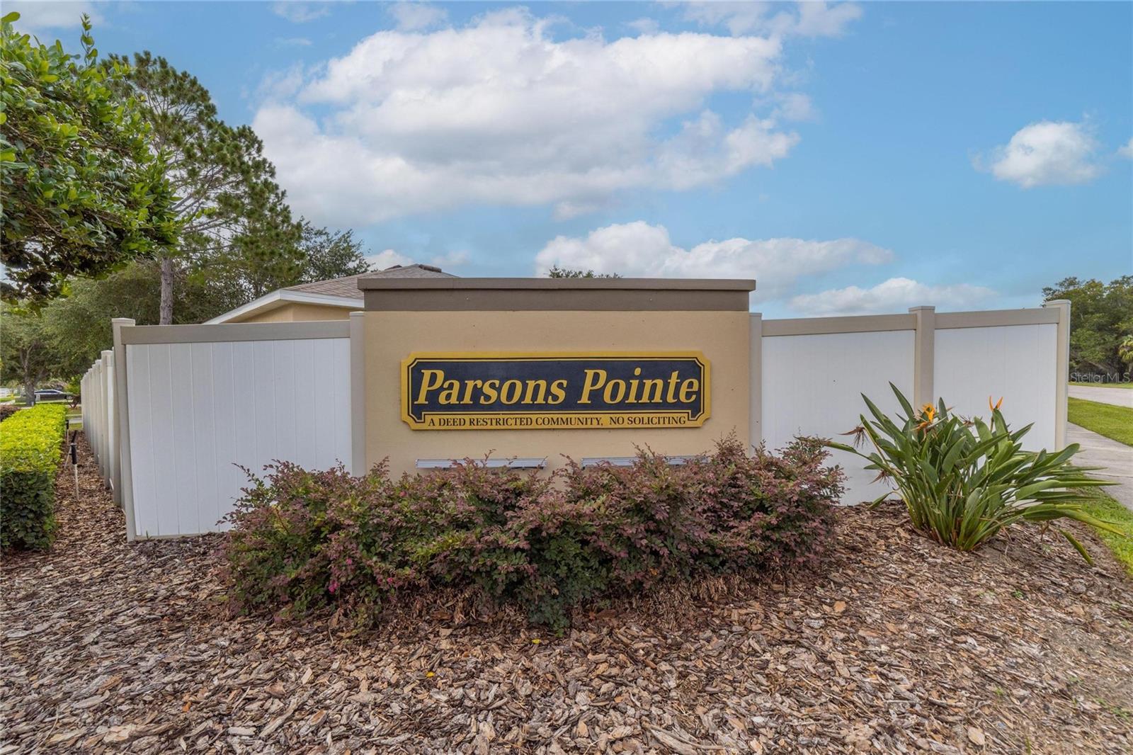 803 PARSONS POINTE ST, SEFFNER, FL, 33584