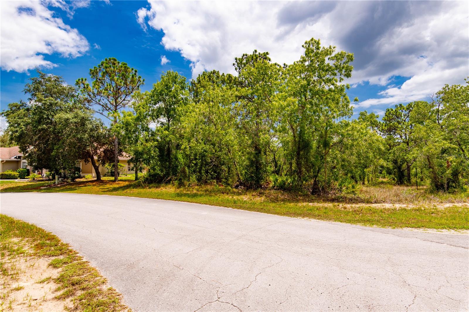 28 SMILAX CT N, HOMOSASSA, FL, 34446