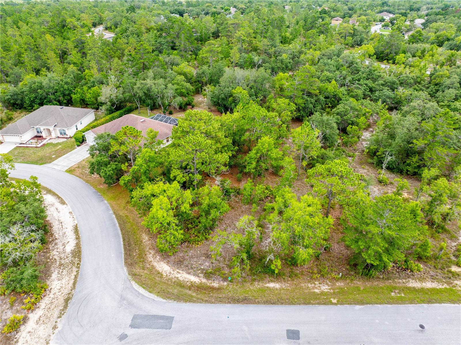 28 SMILAX CT N, HOMOSASSA, FL, 34446