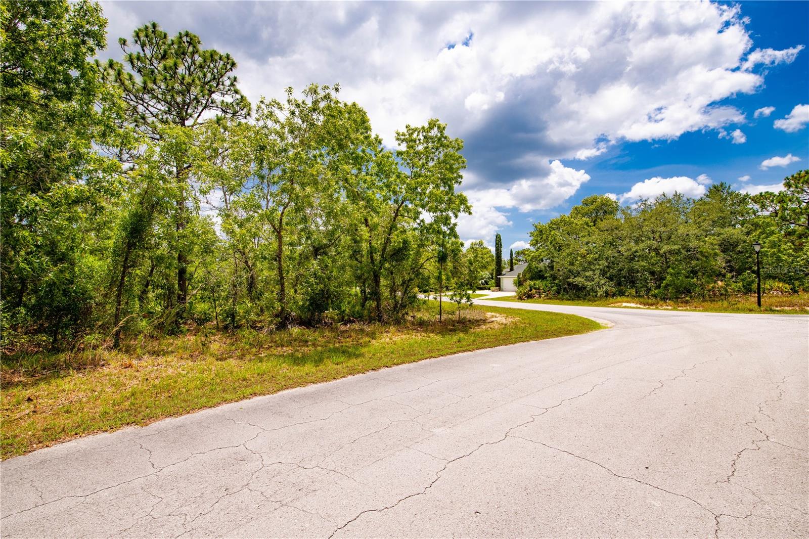 28 SMILAX CT N, HOMOSASSA, FL, 34446