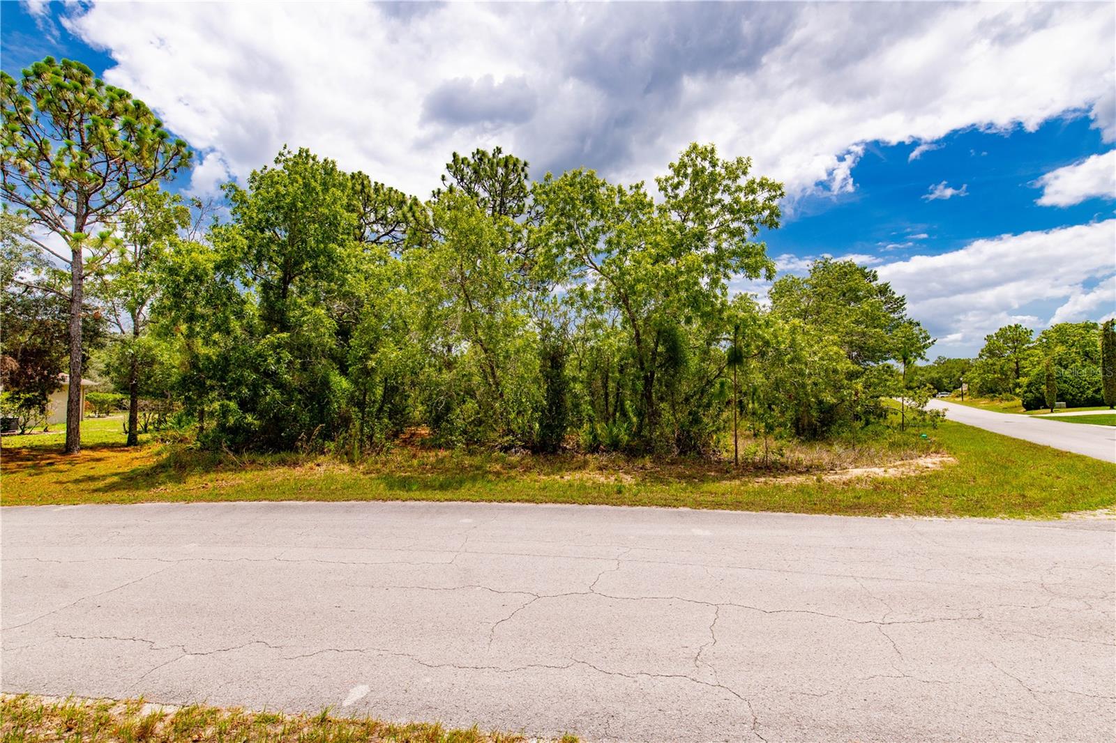 28 SMILAX CT N, HOMOSASSA, FL, 34446