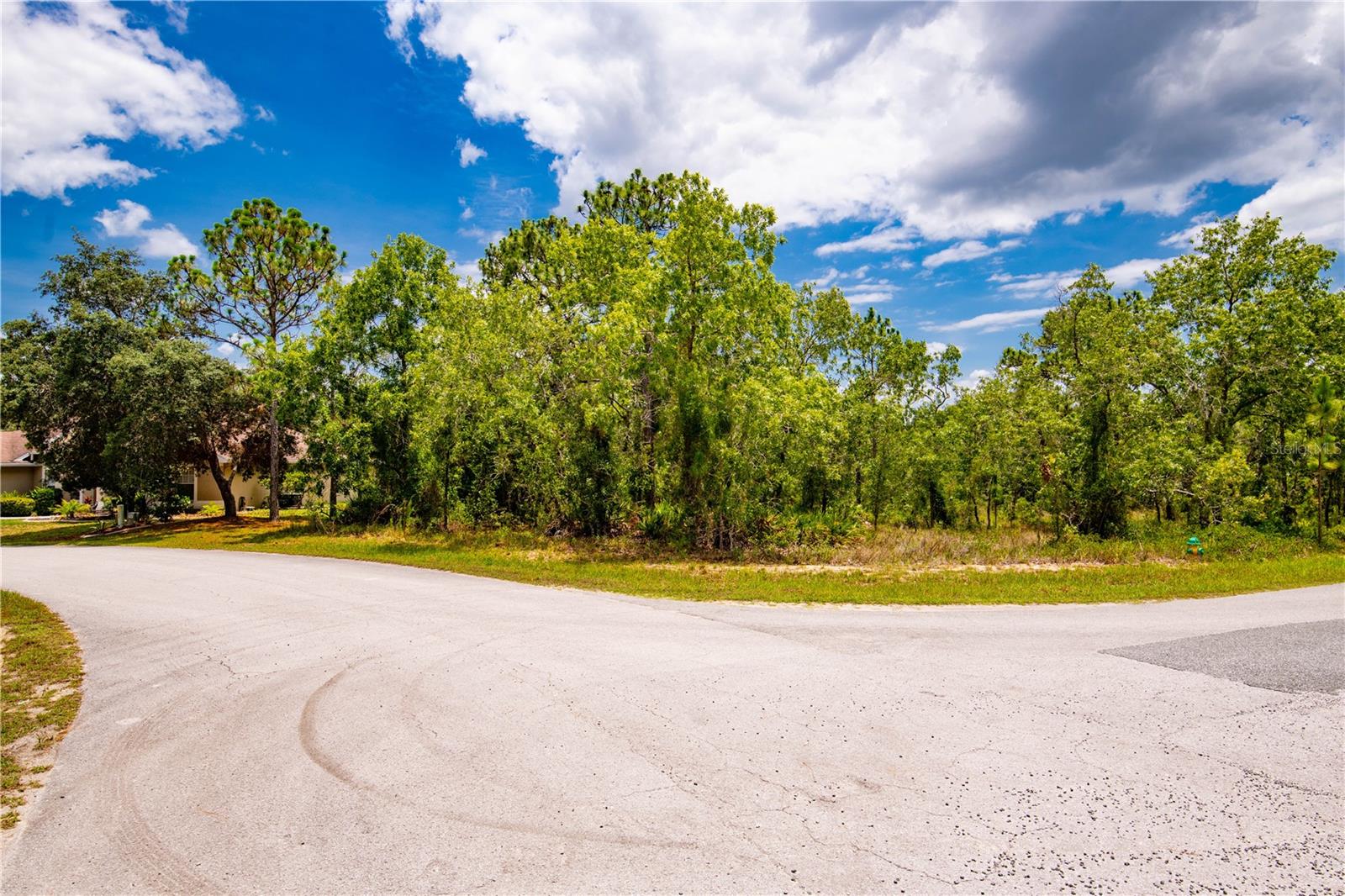 28 SMILAX CT N, HOMOSASSA, FL, 34446