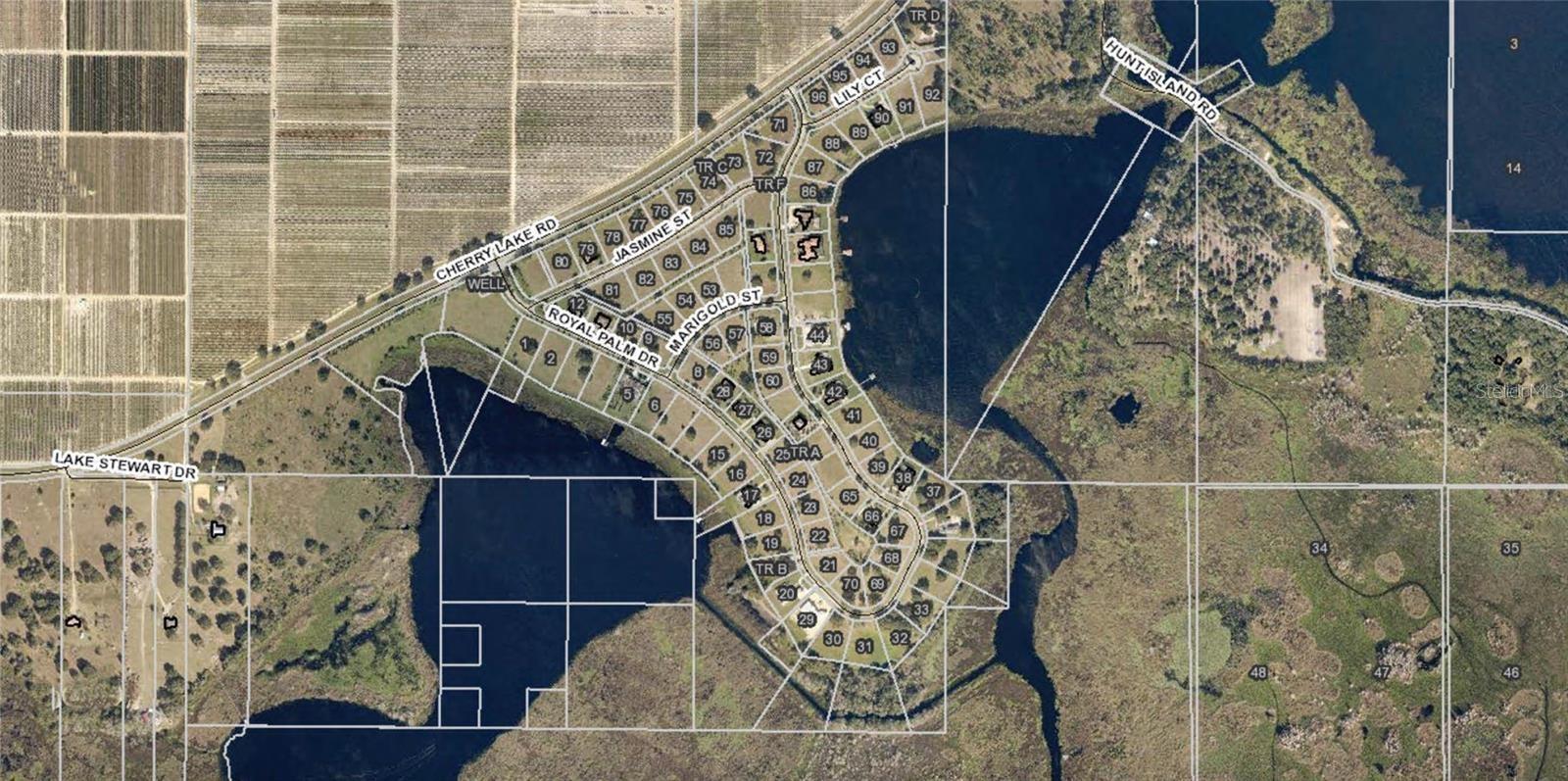 17152 ROYAL PALM DR, GROVELAND, FL, 34736