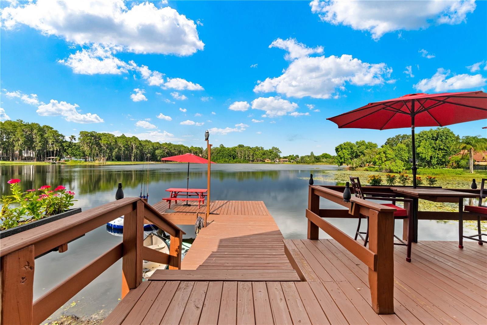 17501 BROWN RD, ODESSA, FL, 33556