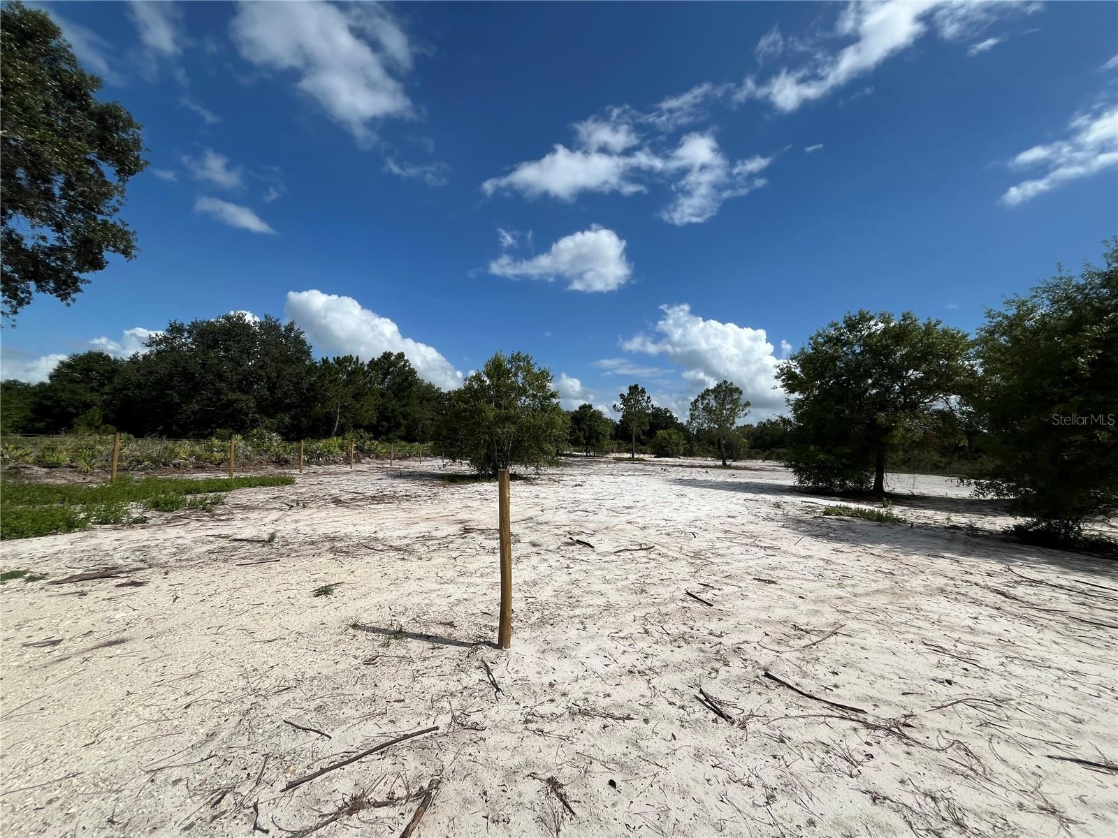 16916 NW 262ND ST, OKEECHOBEE, FL, 34972