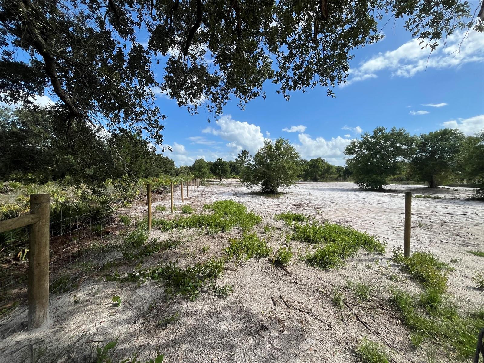 16916 NW 262ND ST, OKEECHOBEE, FL, 34972