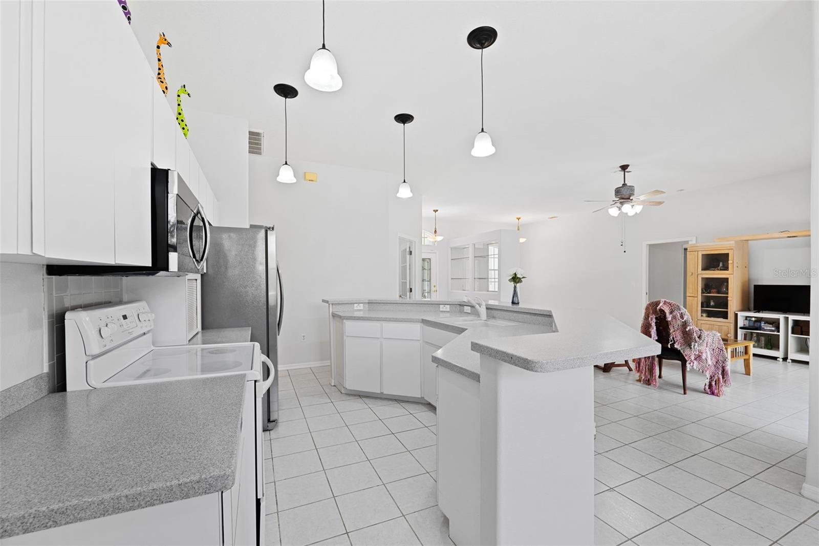 10463 YELLOWLEGS AVE, WEEKI WACHEE, FL, 34614
