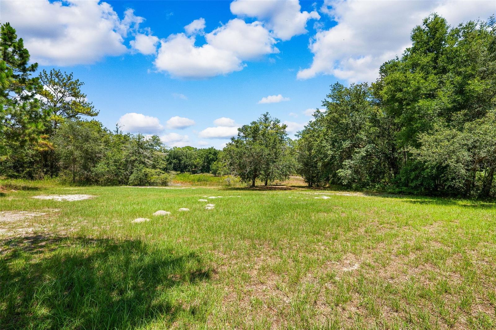 10463 YELLOWLEGS AVE, WEEKI WACHEE, FL, 34614
