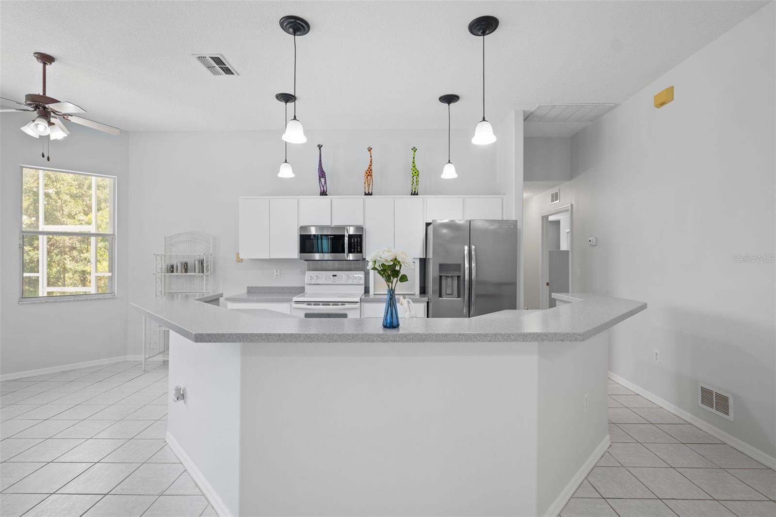 10463 YELLOWLEGS AVE, WEEKI WACHEE, FL, 34614