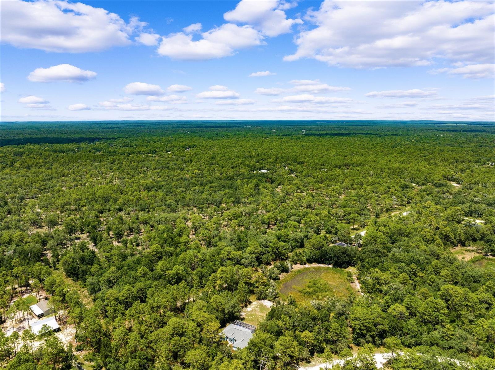 10463 YELLOWLEGS AVE, WEEKI WACHEE, FL, 34614