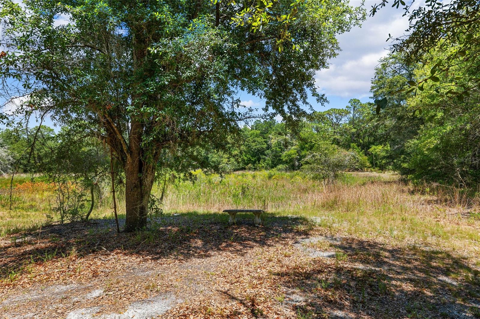 10463 YELLOWLEGS AVE, WEEKI WACHEE, FL, 34614