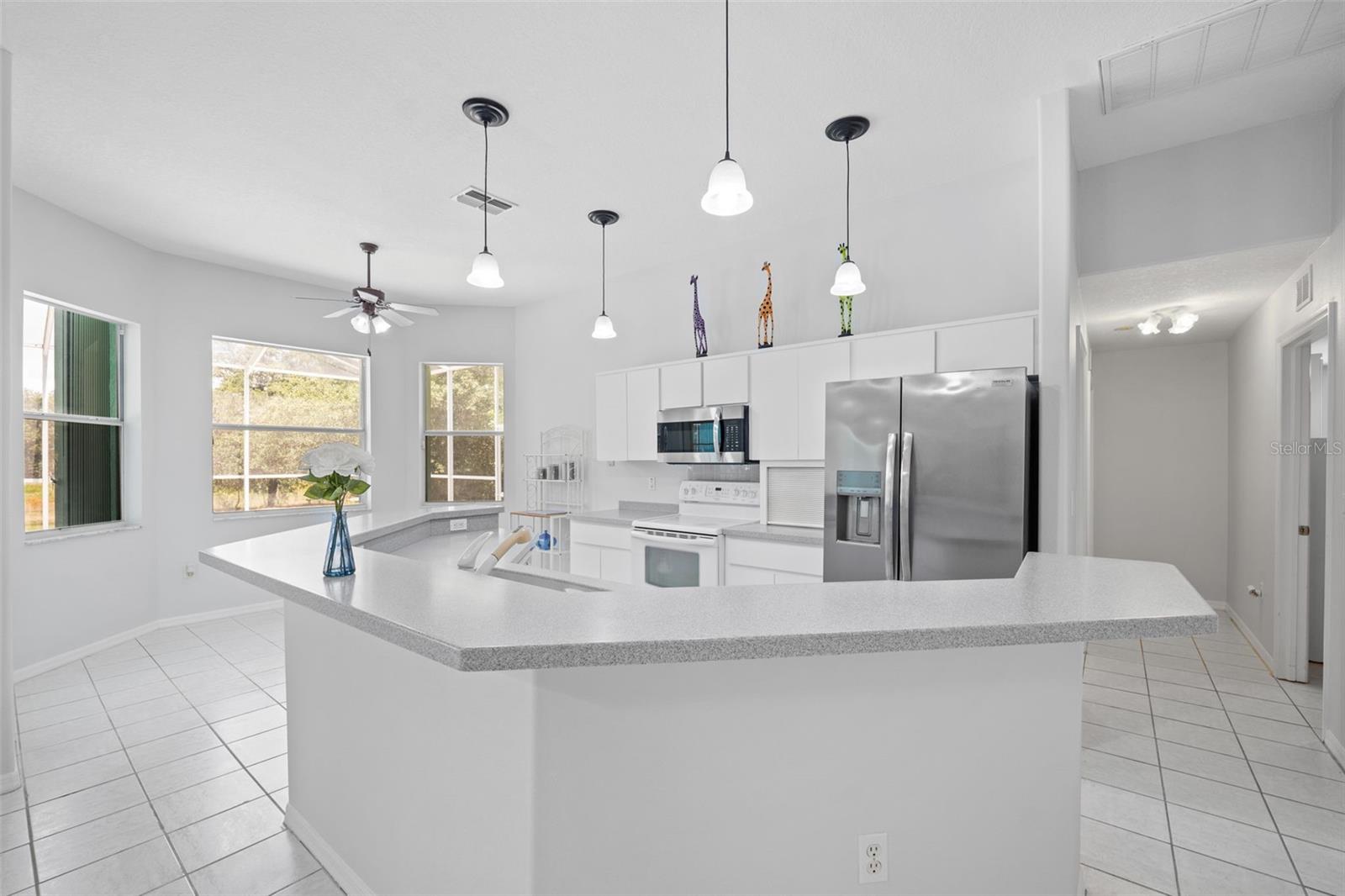 10463 YELLOWLEGS AVE, WEEKI WACHEE, FL, 34614
