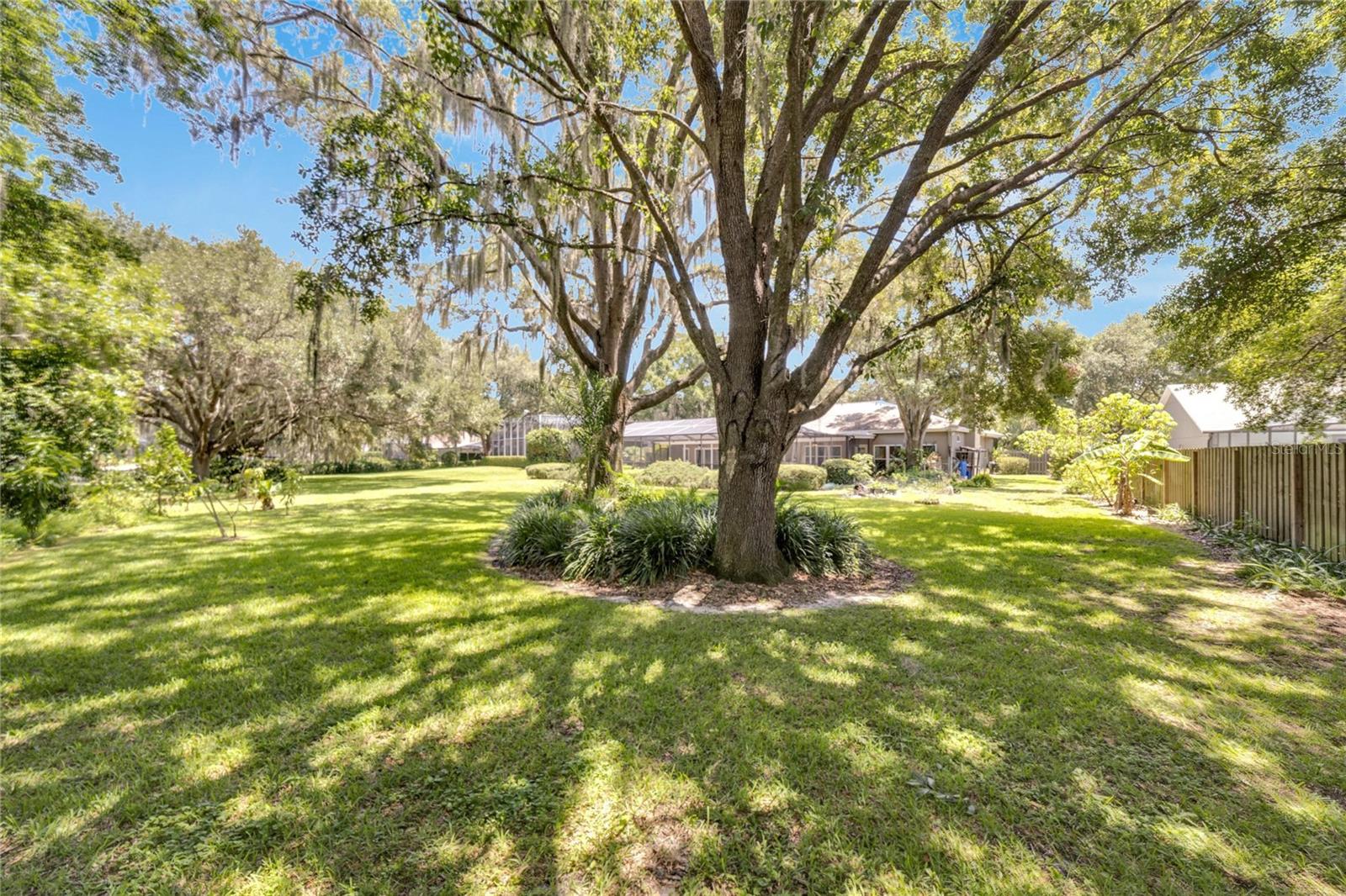 18006 CLEAR LAKE DR, LUTZ, FL, 33548