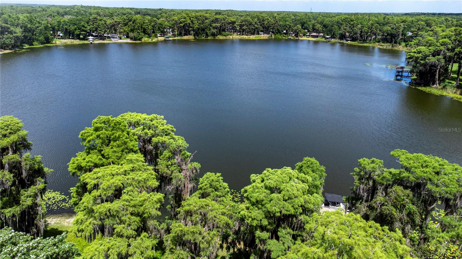 18006 CLEAR LAKE DR, LUTZ, FL, 33548