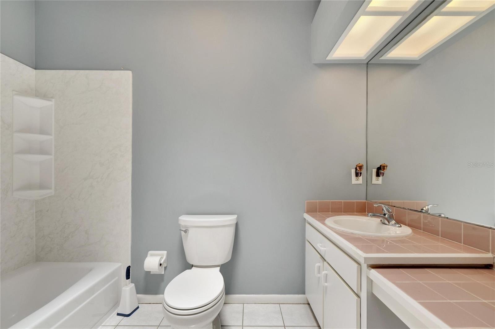 18006 CLEAR LAKE DR, LUTZ, FL, 33548