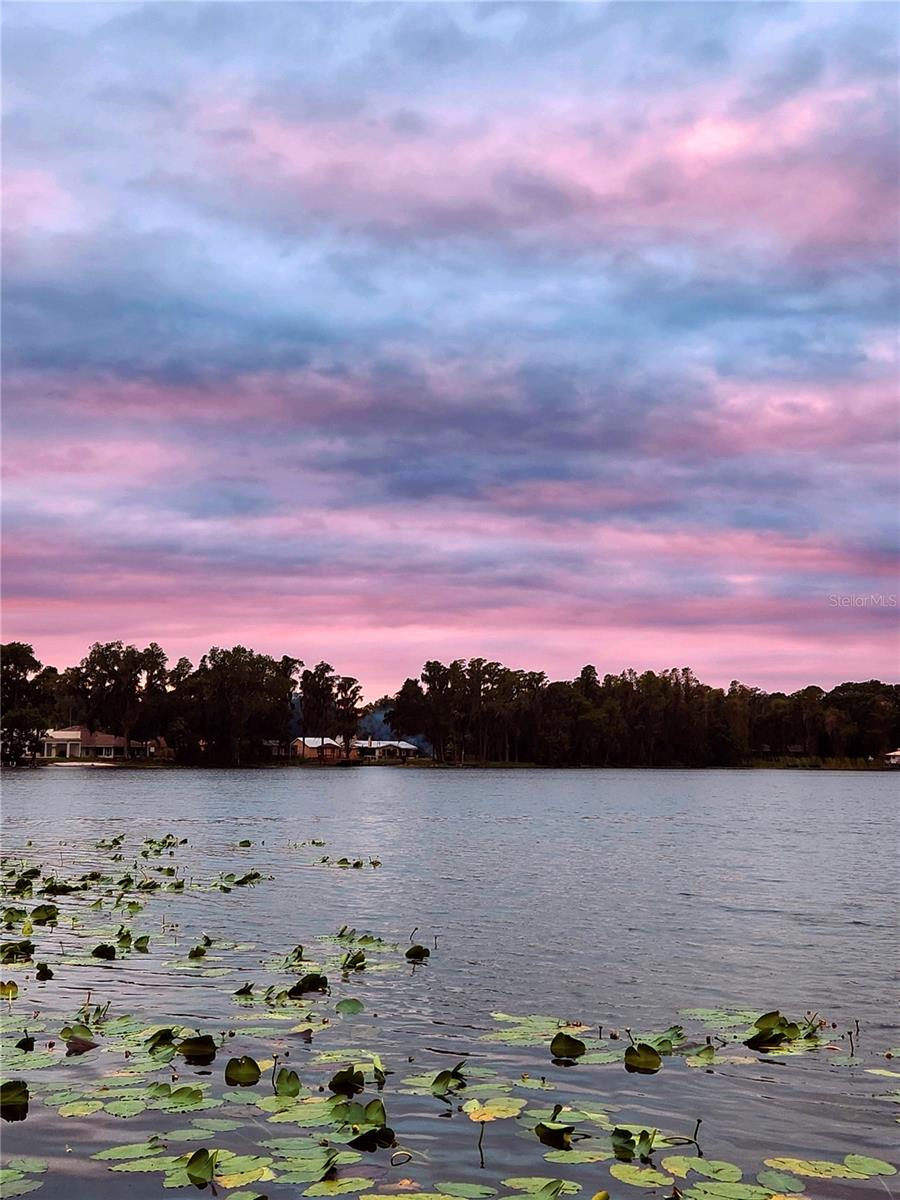 18006 CLEAR LAKE DR, LUTZ, FL, 33548
