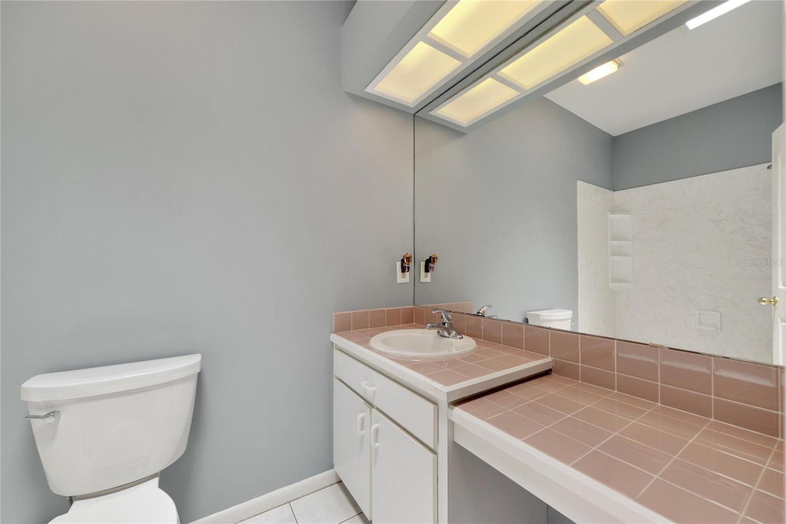 18006 CLEAR LAKE DR, LUTZ, FL, 33548