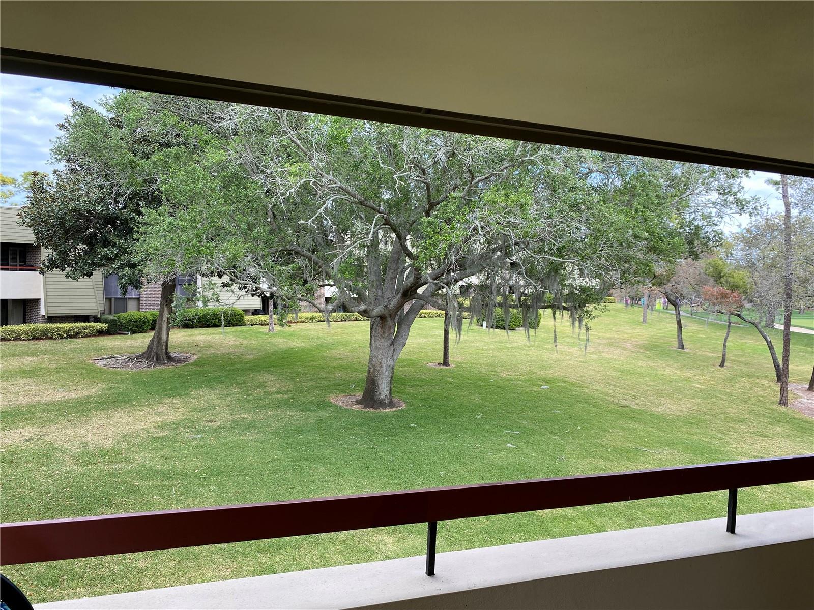 36750 US HIGHWAY 19 N #21-302, PALM HARBOR, FL, 34684