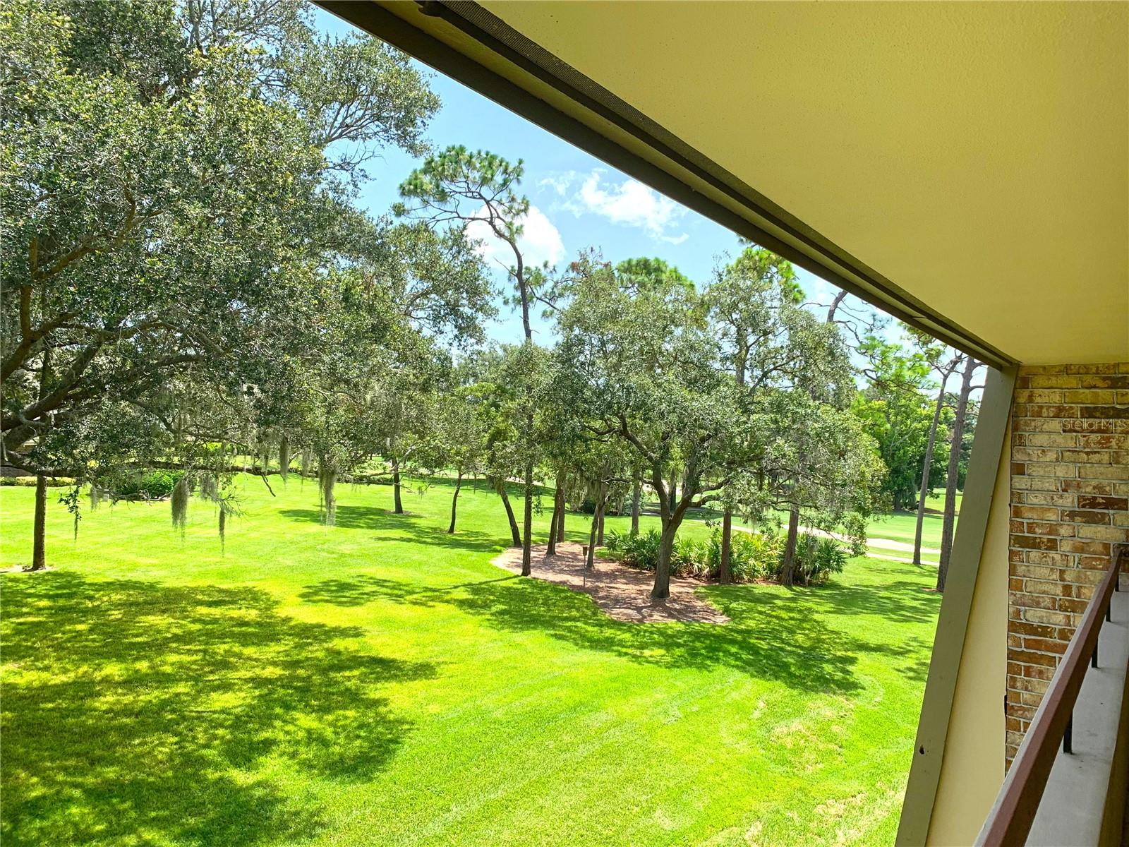 36750 US HIGHWAY 19 N #21-302, PALM HARBOR, FL, 34684