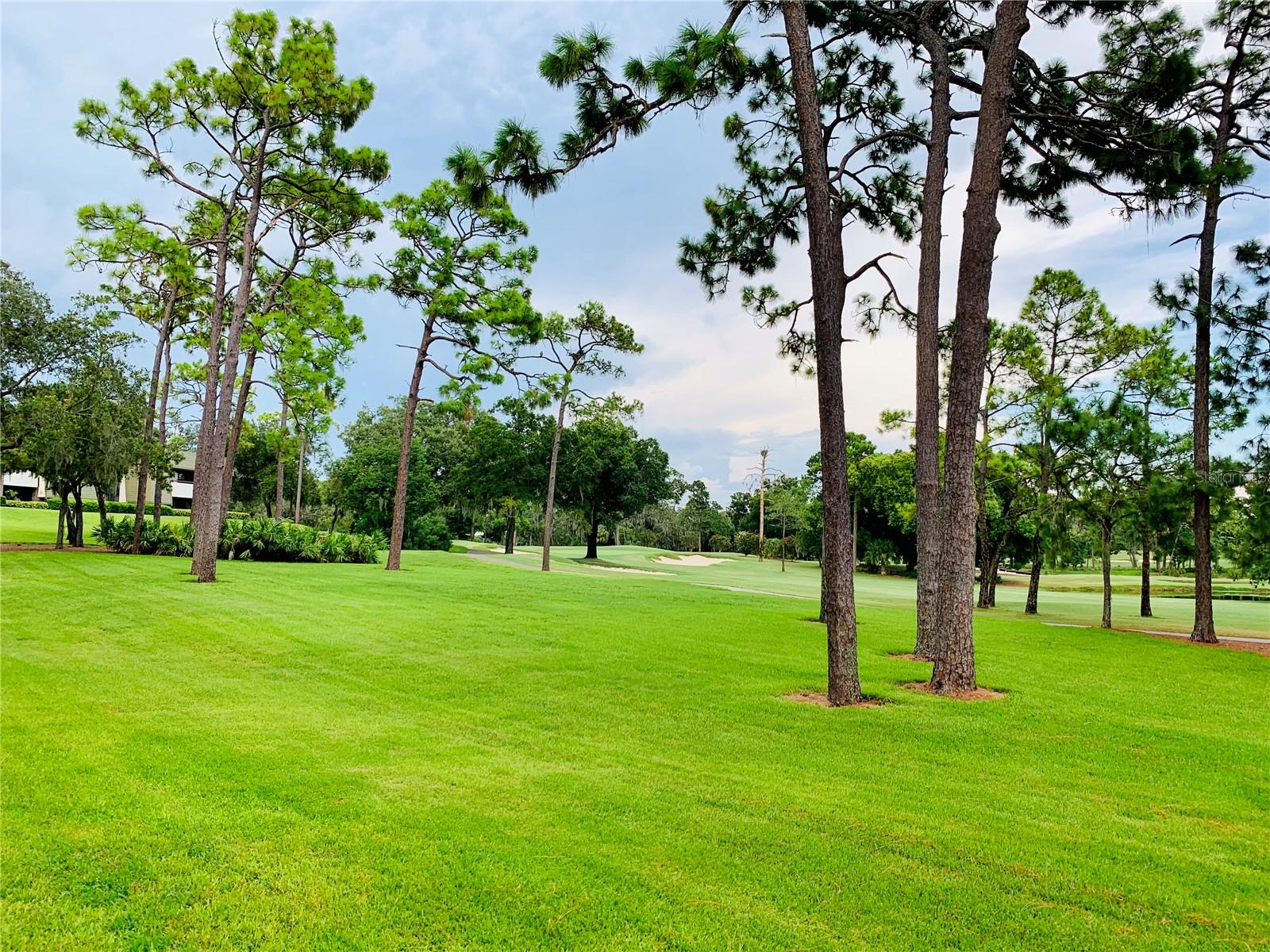 36750 US HIGHWAY 19 N #21-302, PALM HARBOR, FL, 34684