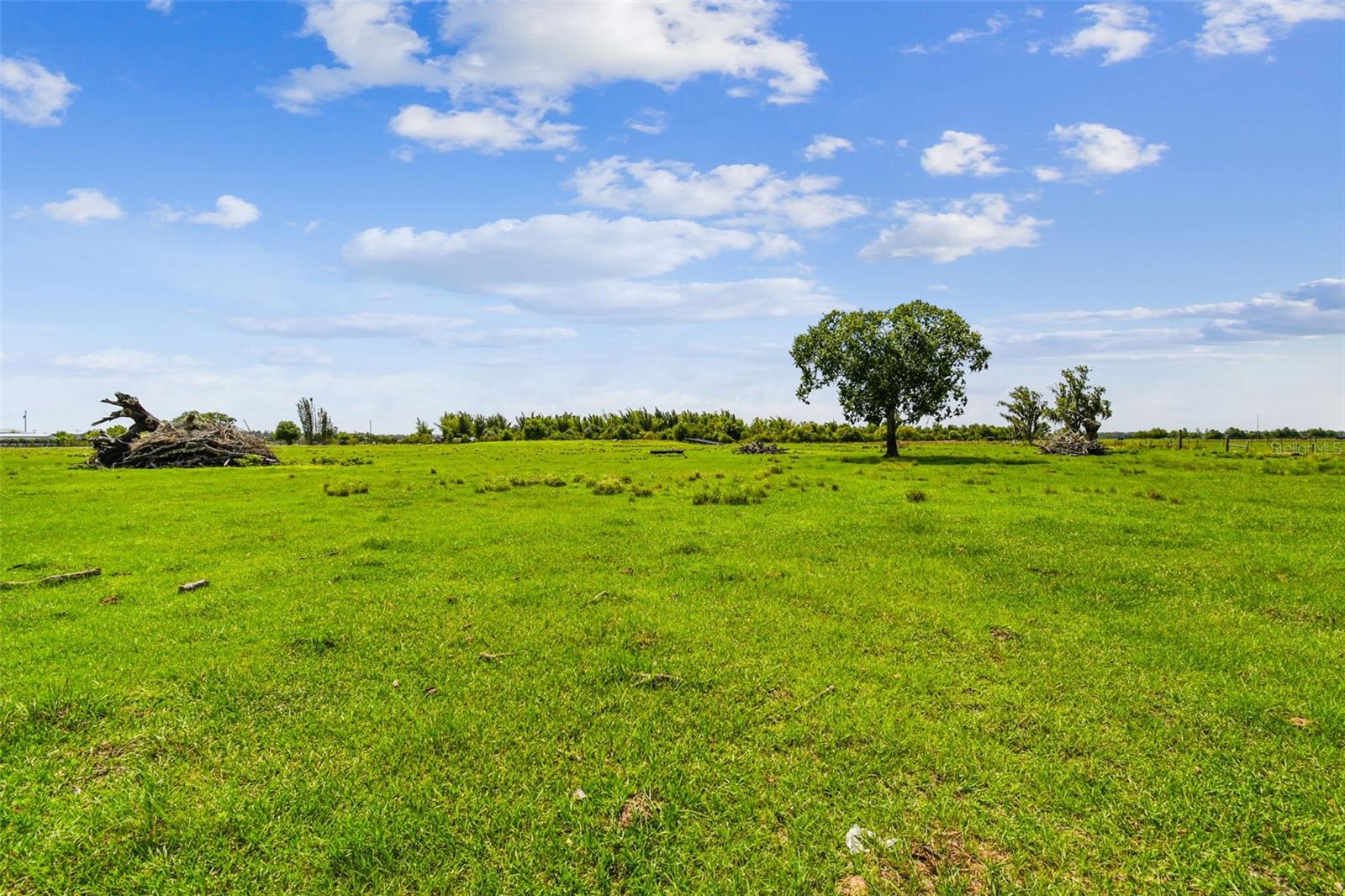 35651 SINGLETARY RD, MYAKKA CITY, FL, 34251