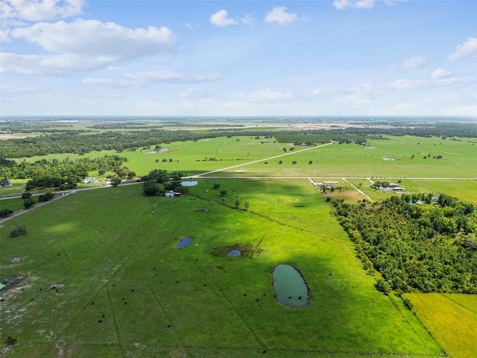 35651 SINGLETARY RD, MYAKKA CITY, FL, 34251