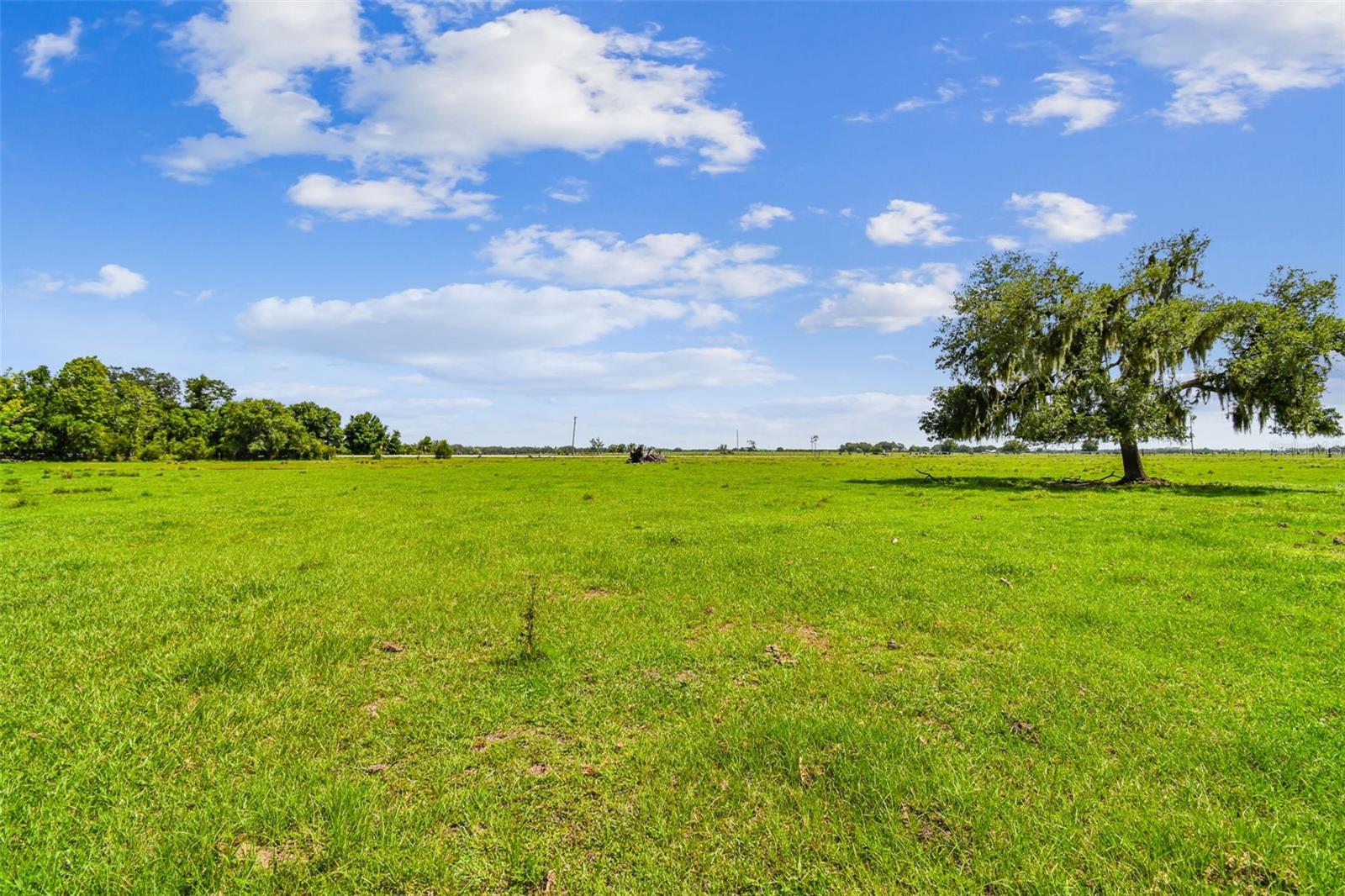 35651 SINGLETARY RD, MYAKKA CITY, FL, 34251