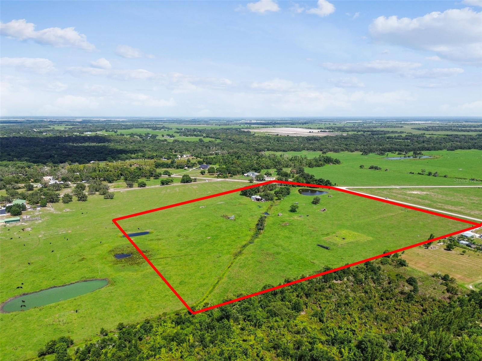 35651 SINGLETARY RD, MYAKKA CITY, FL, 34251